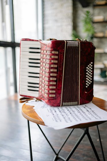 Acordeón.

Foto de Yan Krukau: https://www.pexels.com/es-es/foto/mesa-instrumento-musical-acordeon-tiro-vertical-8520119/